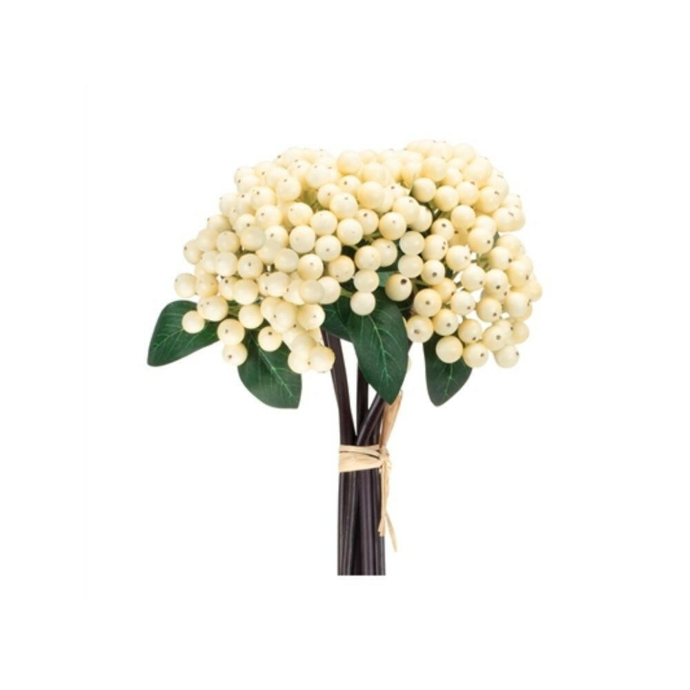 Cream Berry Bundle