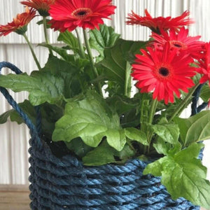 New England Chowder Lobster Rope Gift Basket Food Gift Baskets The New England Trading Company