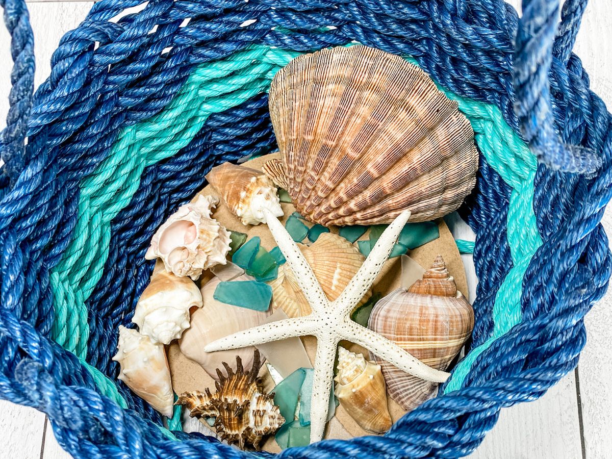 From Shore to Shelf: Stylish Ways to Showcase Your Collected Seashells