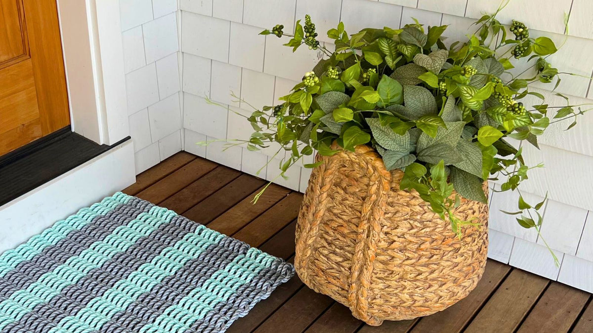 A Breath of Fresh Air: Indoor Plants for a Coastal Aesthetic