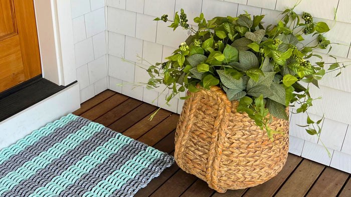 A Breath of Fresh Air: Indoor Plants for a Coastal Aesthetic