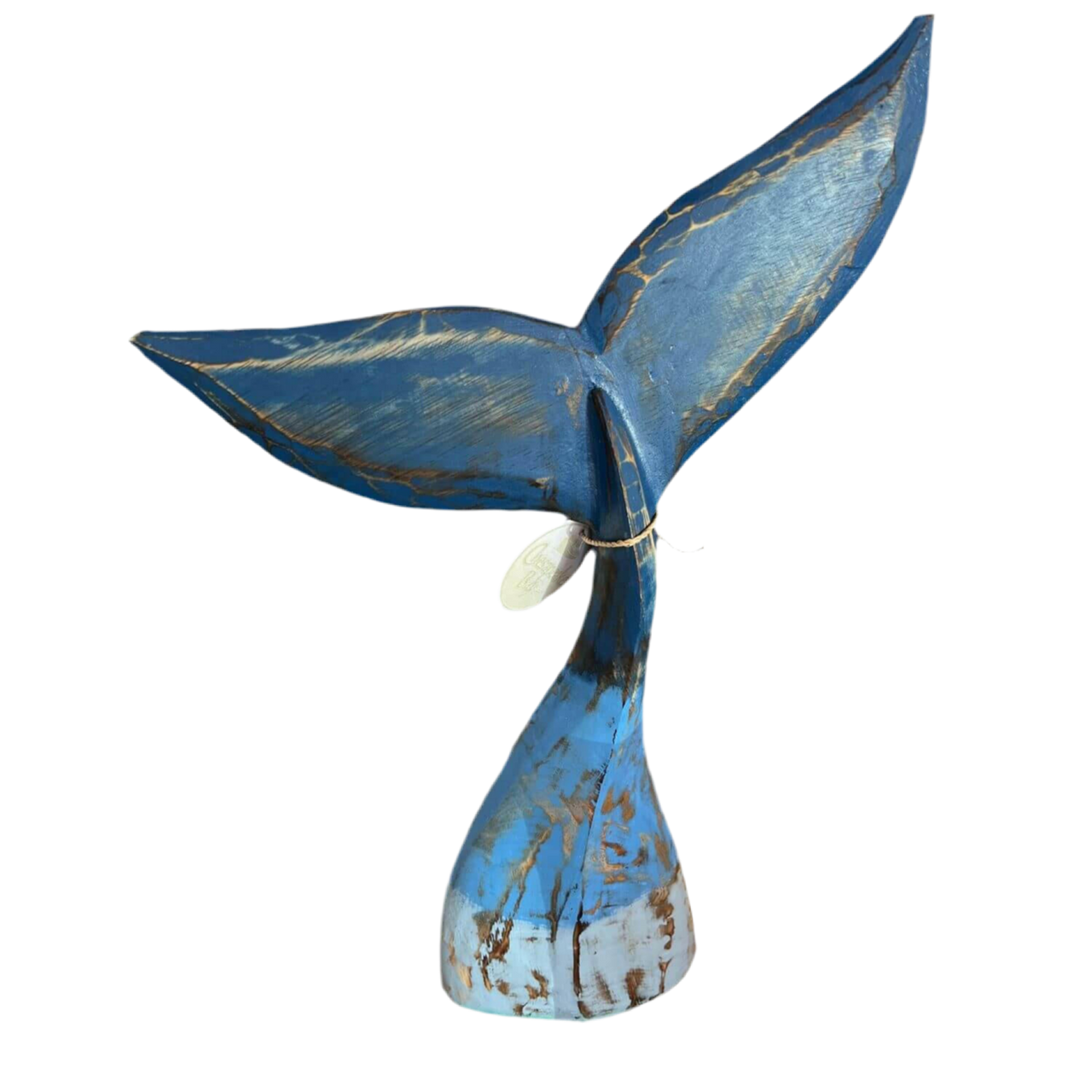 15" Whale Tail Blue