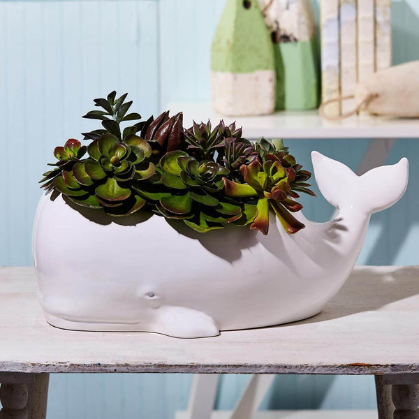 Beluga Whale Planter / Bottle Chiller