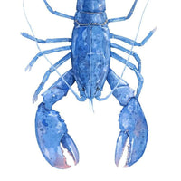 Thumbnail for Blue Lobster Watercolor Print, Nautical New England Wall Art, 8 x 10