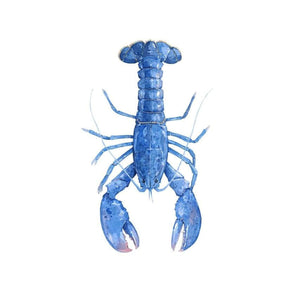 Blue Lobster Watercolor Print, Nautical New England Wall Art, 8 x 10
