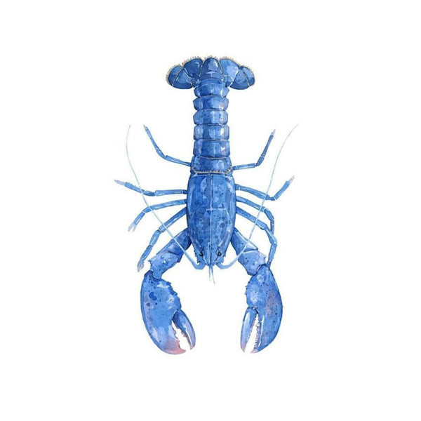 Blue Lobster Watercolor Print, Nautical New England Wall Art, 8 x 10