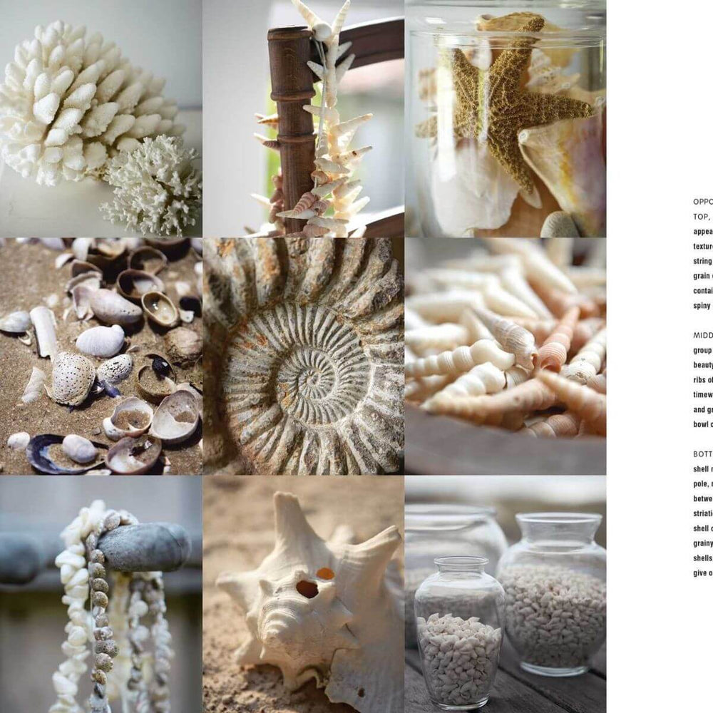 "Coastal Blues" by Sally Hayden & Alice Whately, Seaside Decorating Ideas, Hardcover Book, 160 pages