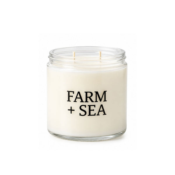 14 oz Coconut Soy Wax Coastal Candle, Beach House Candles