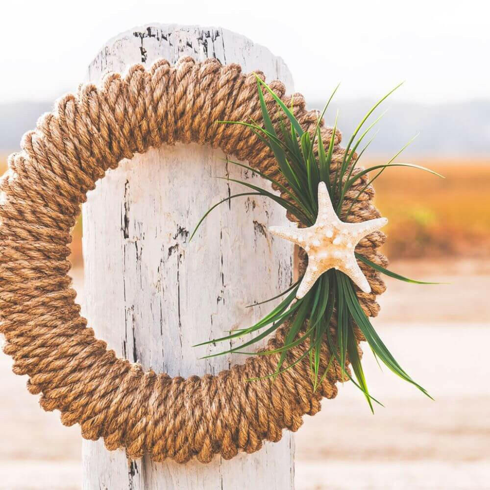 Hampton Wreath Accessories Wreaths & Garlands New England Trading Co Bumpy Starfish/Sea Grass  