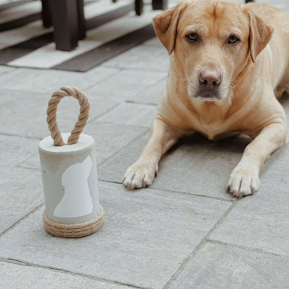 Heavy Concrete Doorstop, Iconic Buoy Door Stopper, Dog
