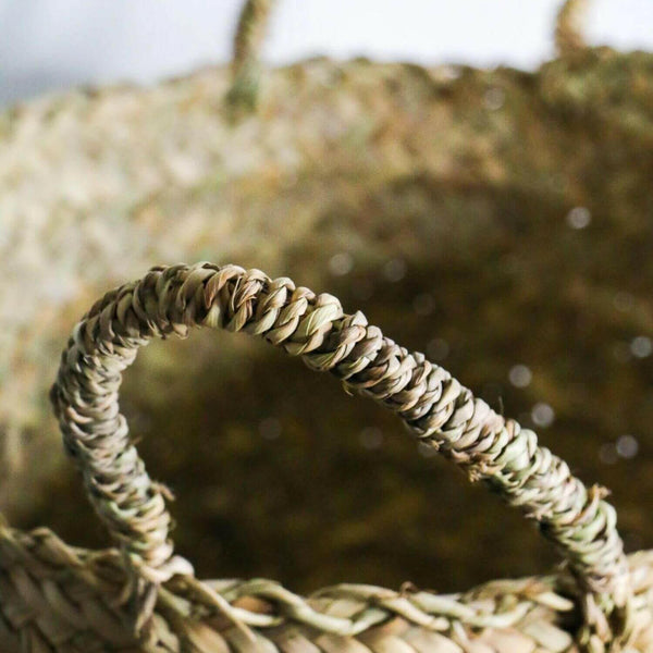 Coastal Breeze Tall Palm Hamper