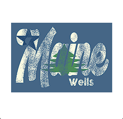 Wells, Maine Pine & Star Slate Blue Hoodie