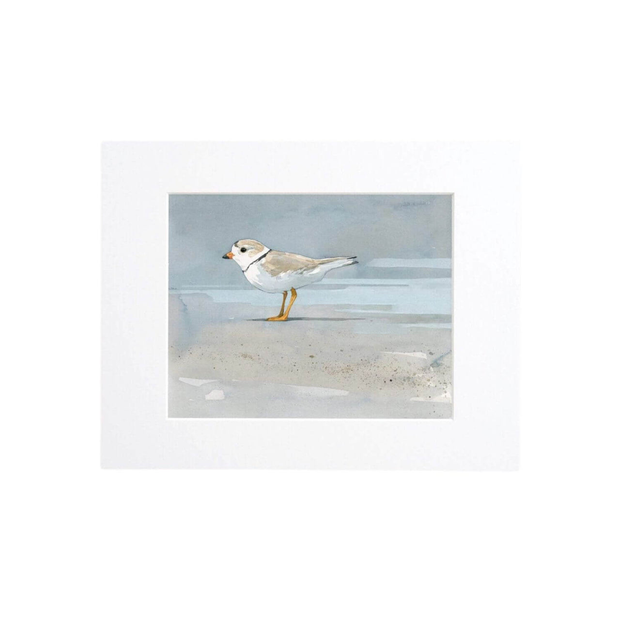 Piping Plover Beach Art Print, Coastal Décor, 8 x 10