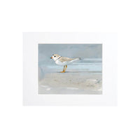 Thumbnail for Piping Plover Beach Art Print, Coastal Décor, 8 x 10