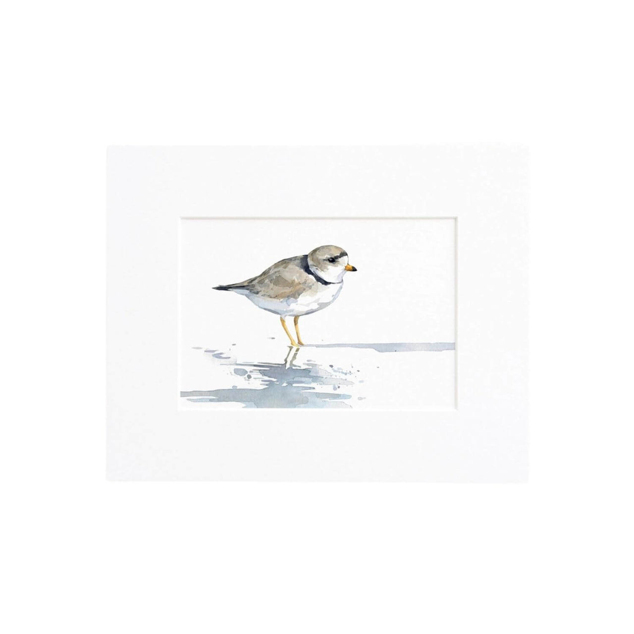 Piping Plover Watercolor Print, Sandpiper Beach Painting, 5 x 7