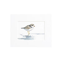 Thumbnail for Piping Plover Watercolor Print, Sandpiper Beach Painting, 5 x 7