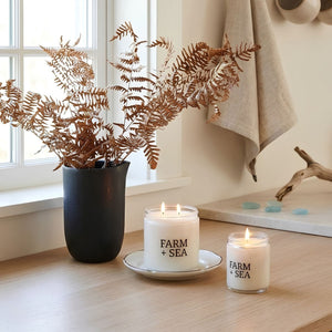 Coastal Farm + Sea Candles, 5.5 Oz and 14 Oz Sizes, White Glass Jars on Kitchen Counter
