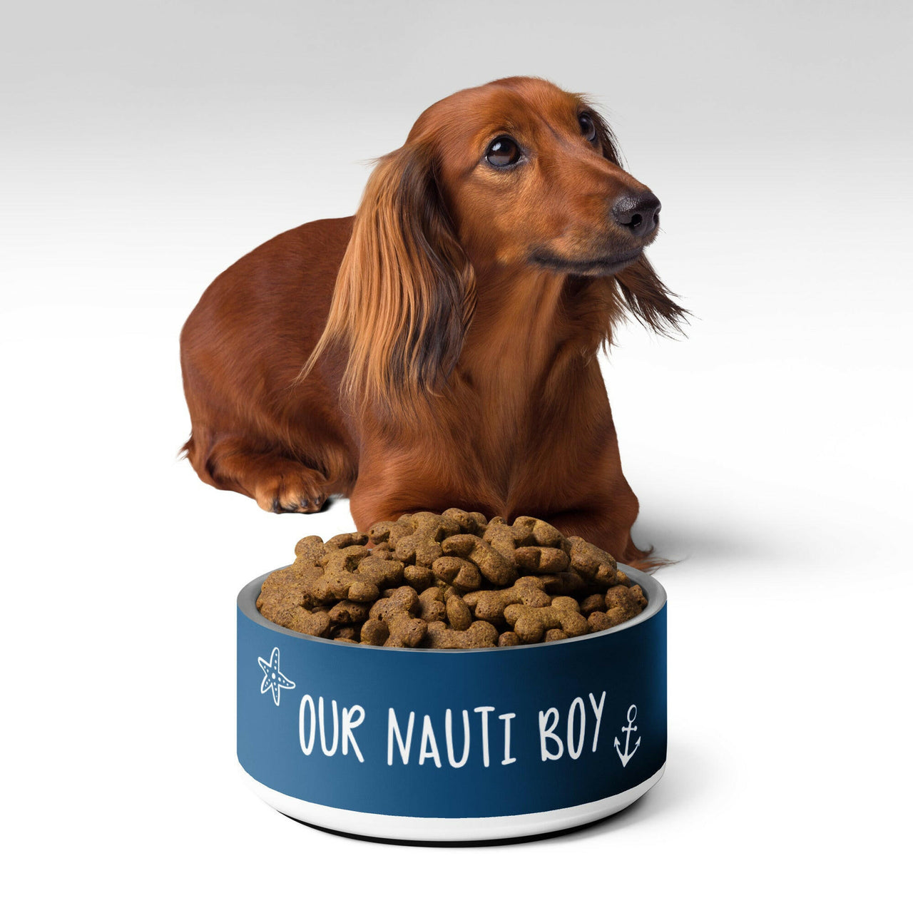 Nauti Boy Coastal Pet Bowl, 2 Sizes  New England Trading Co   