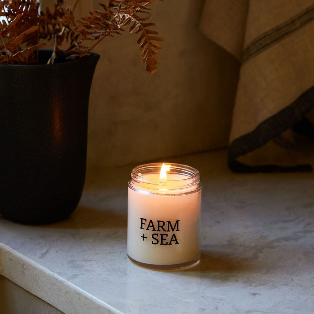 Summer House 5.5 oz Coconut Soy Wax Coastal Candle