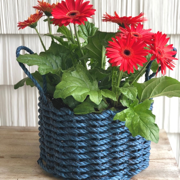 Wicked Good Lobster Rope Basket Baskets Wicked Good Baskets Solid Navy  