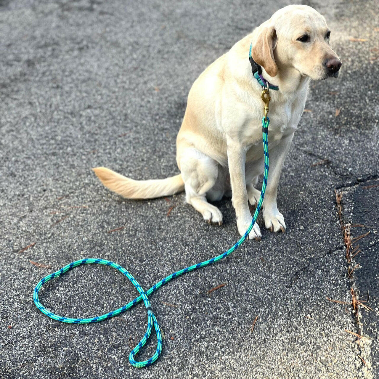 Nautical Rope Dog Leash, Authentic Yacht Braid Pet Leashes New England Trading Co   